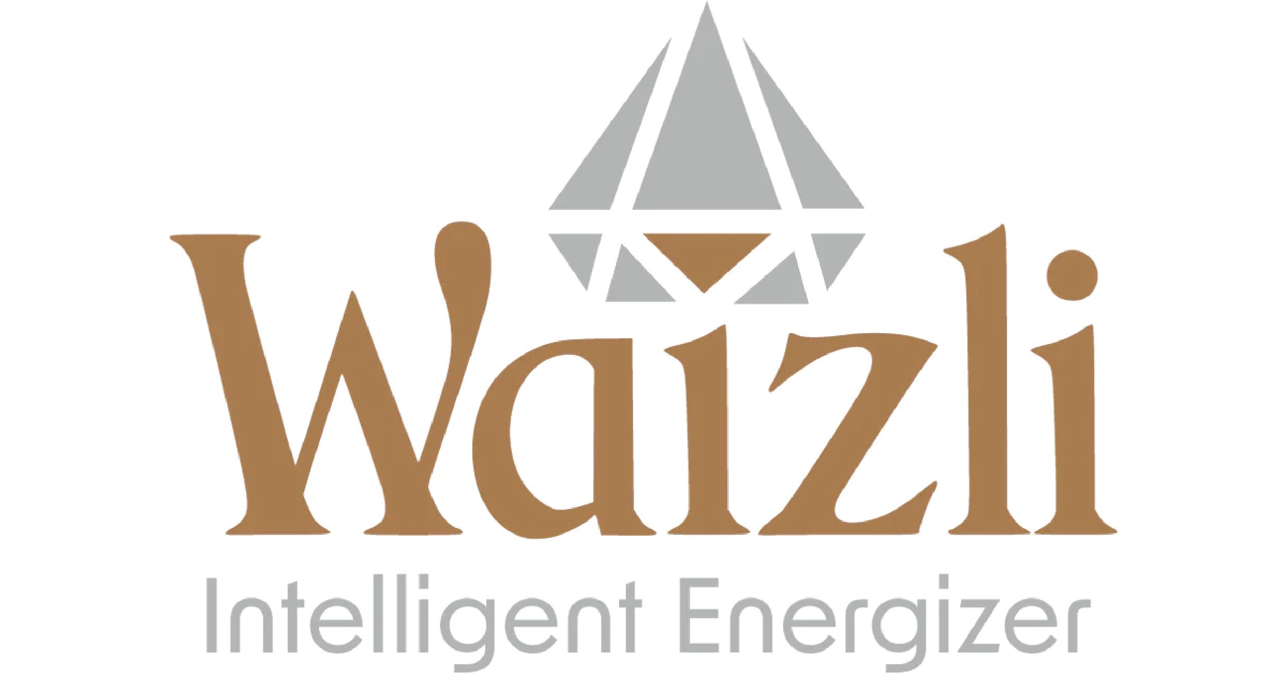 Waizli Company